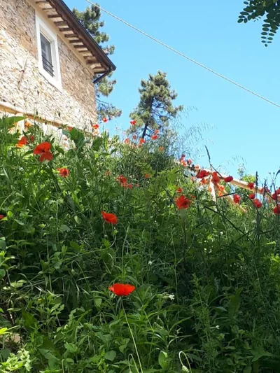 Villa Cima delle Poiane, Stunning View – Foto’s 4